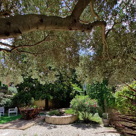 D'hotes - Le Magnolia 4* Carcassonne