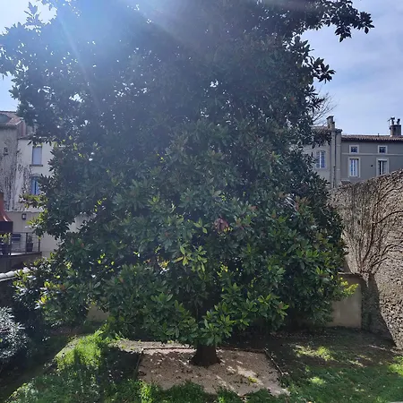 Bed & Breakfast D'hotes - Le Magnolia Carcassonne