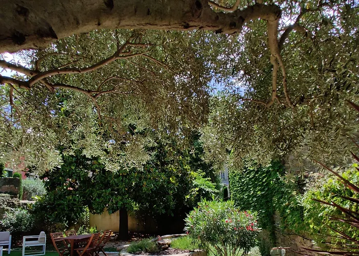 D'hotes - Le Magnolia 4* Carcassonne